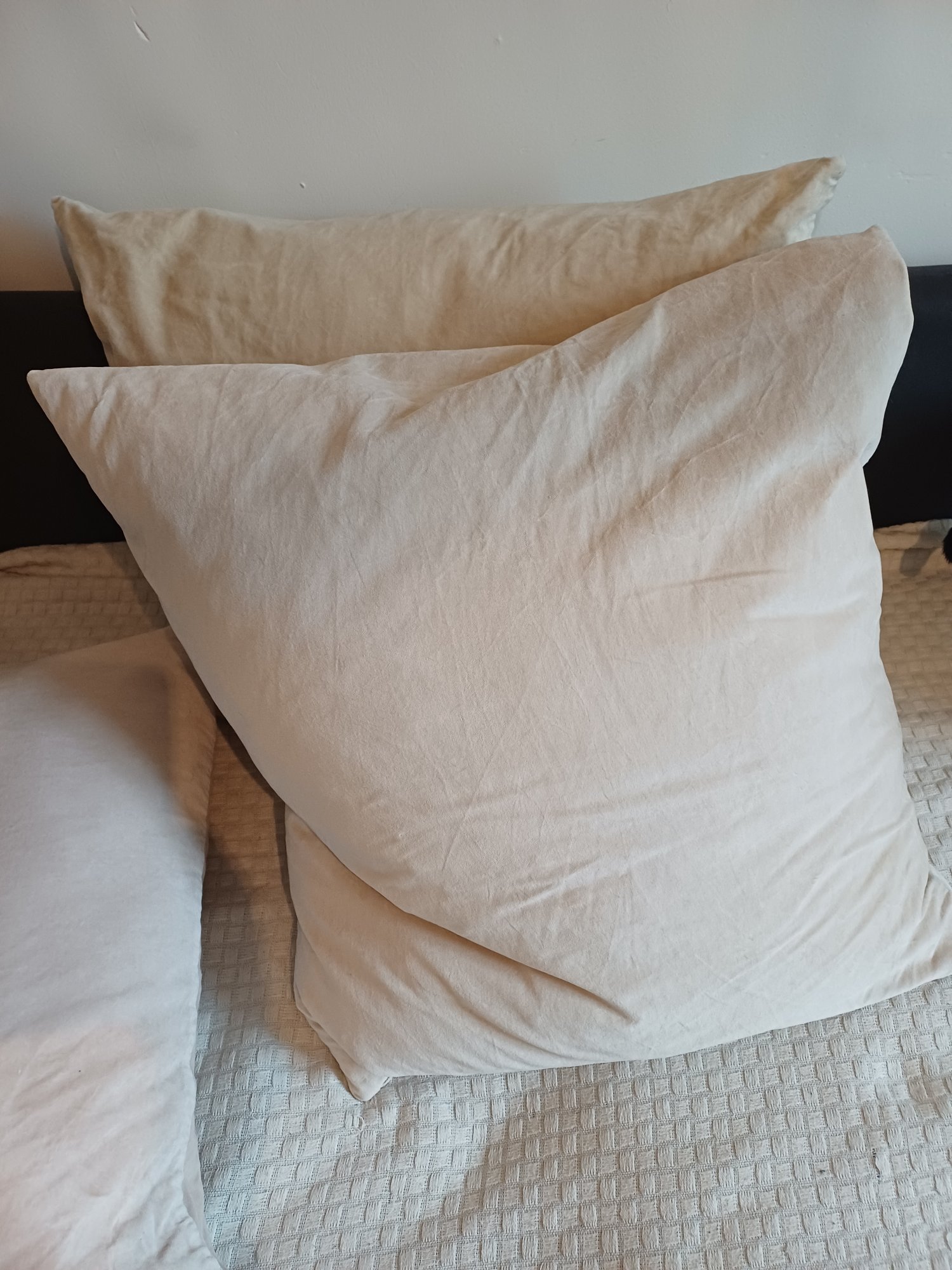 Seller photo