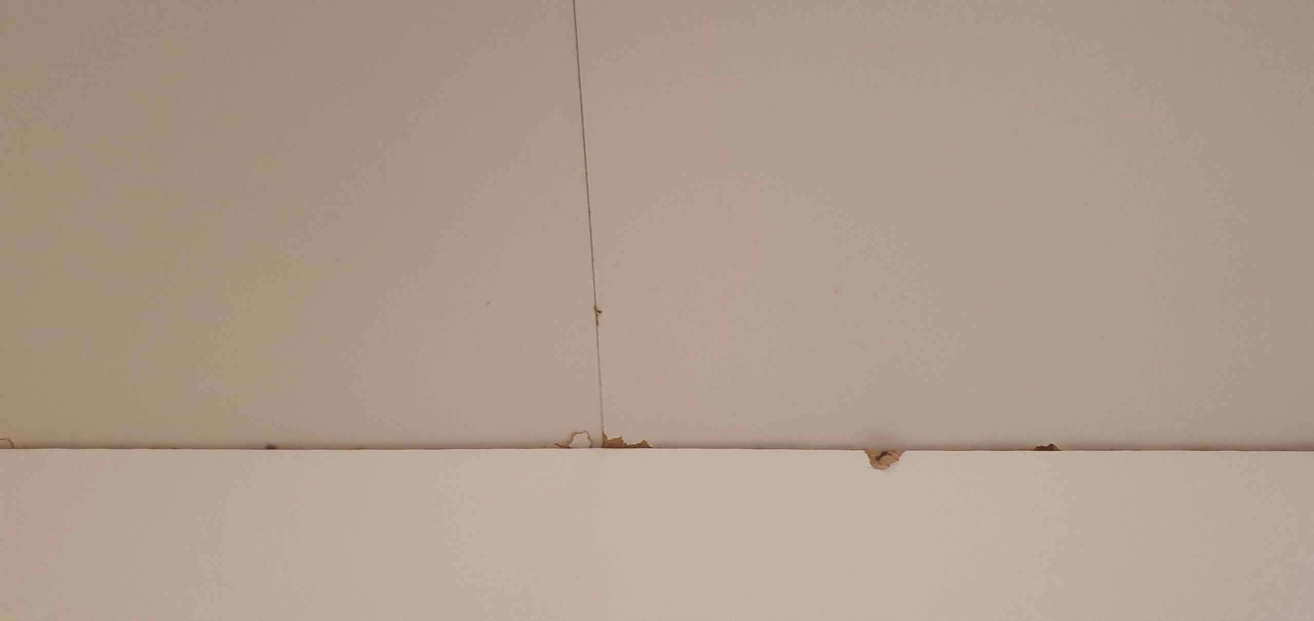 Foto verkoper