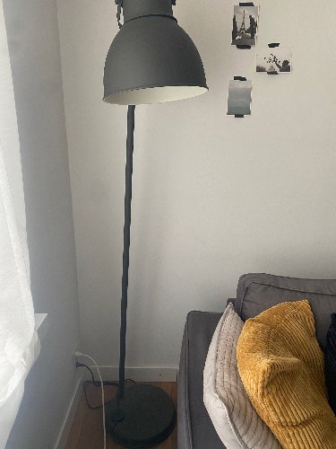 Photo du vendeur