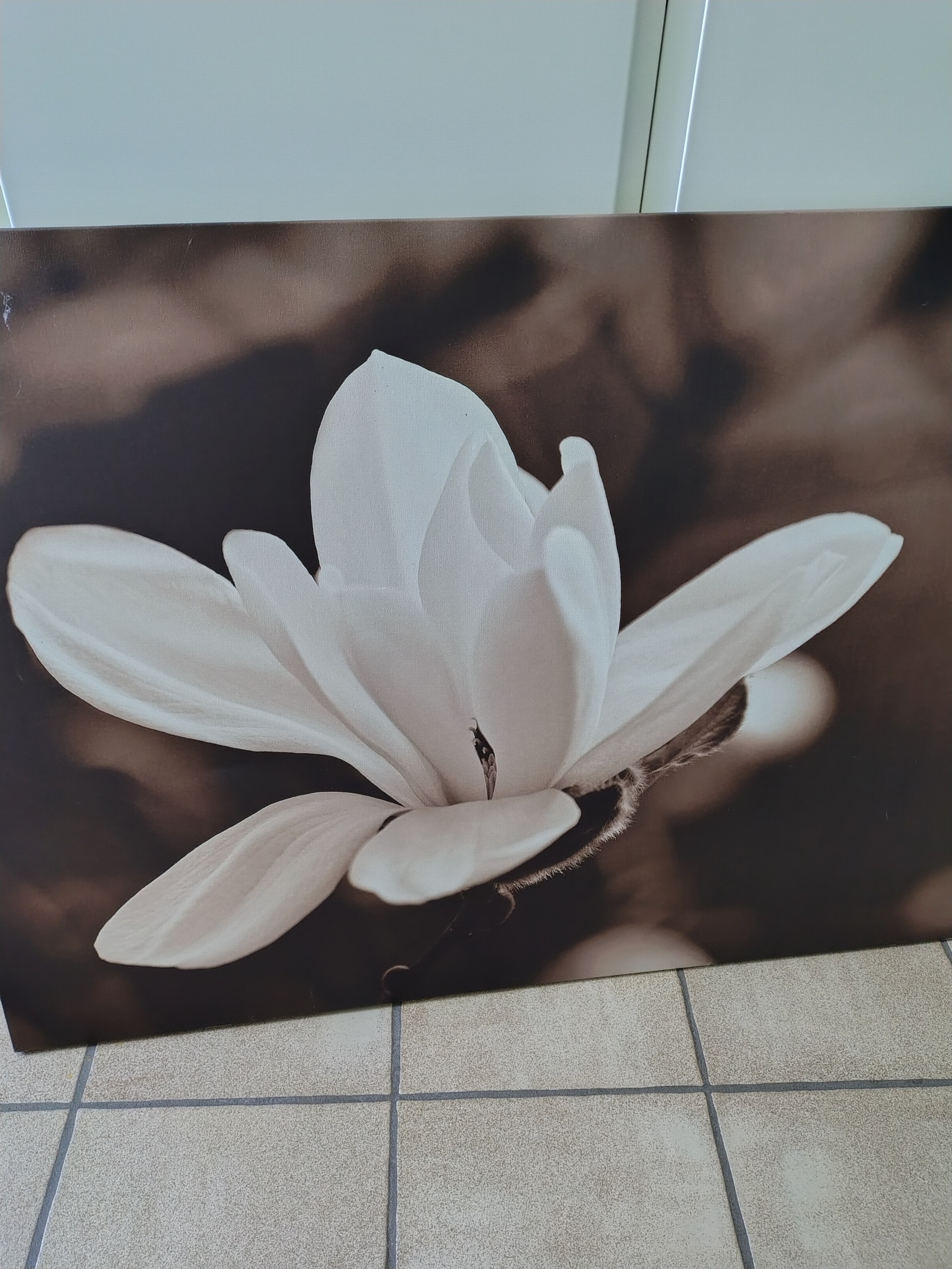 Foto verkoper