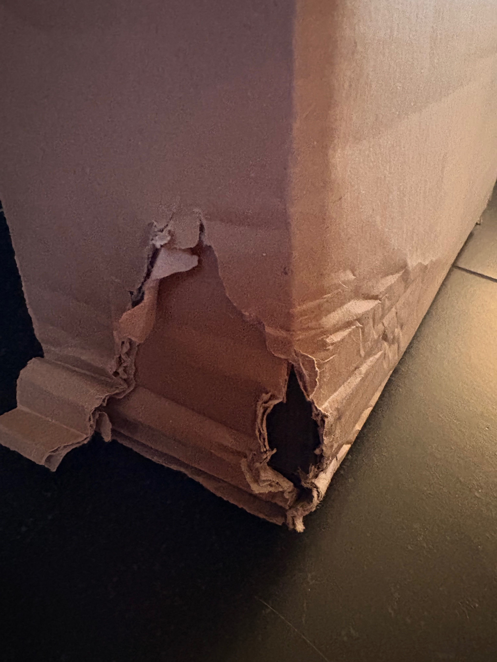 Seller photo