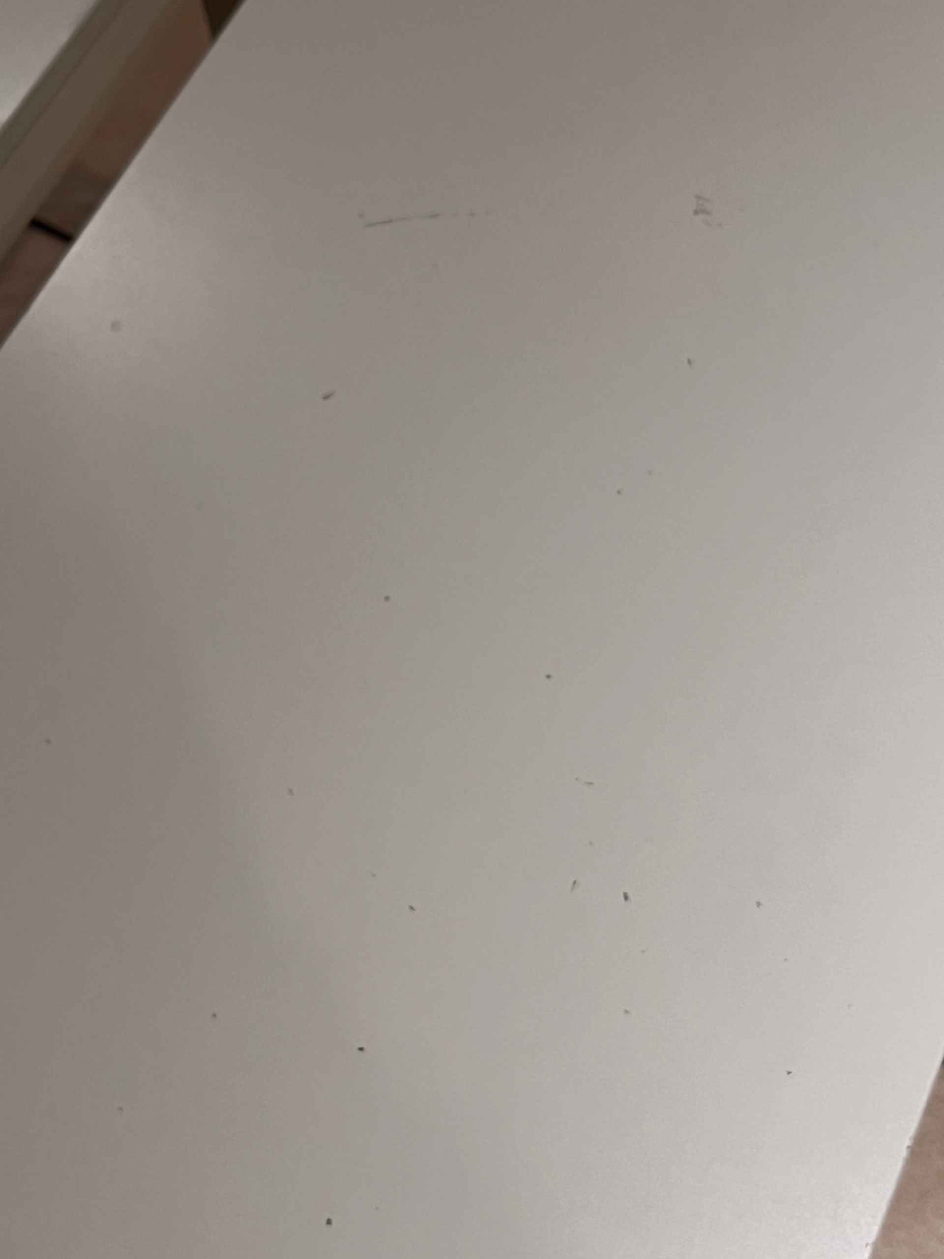 Photo du vendeur