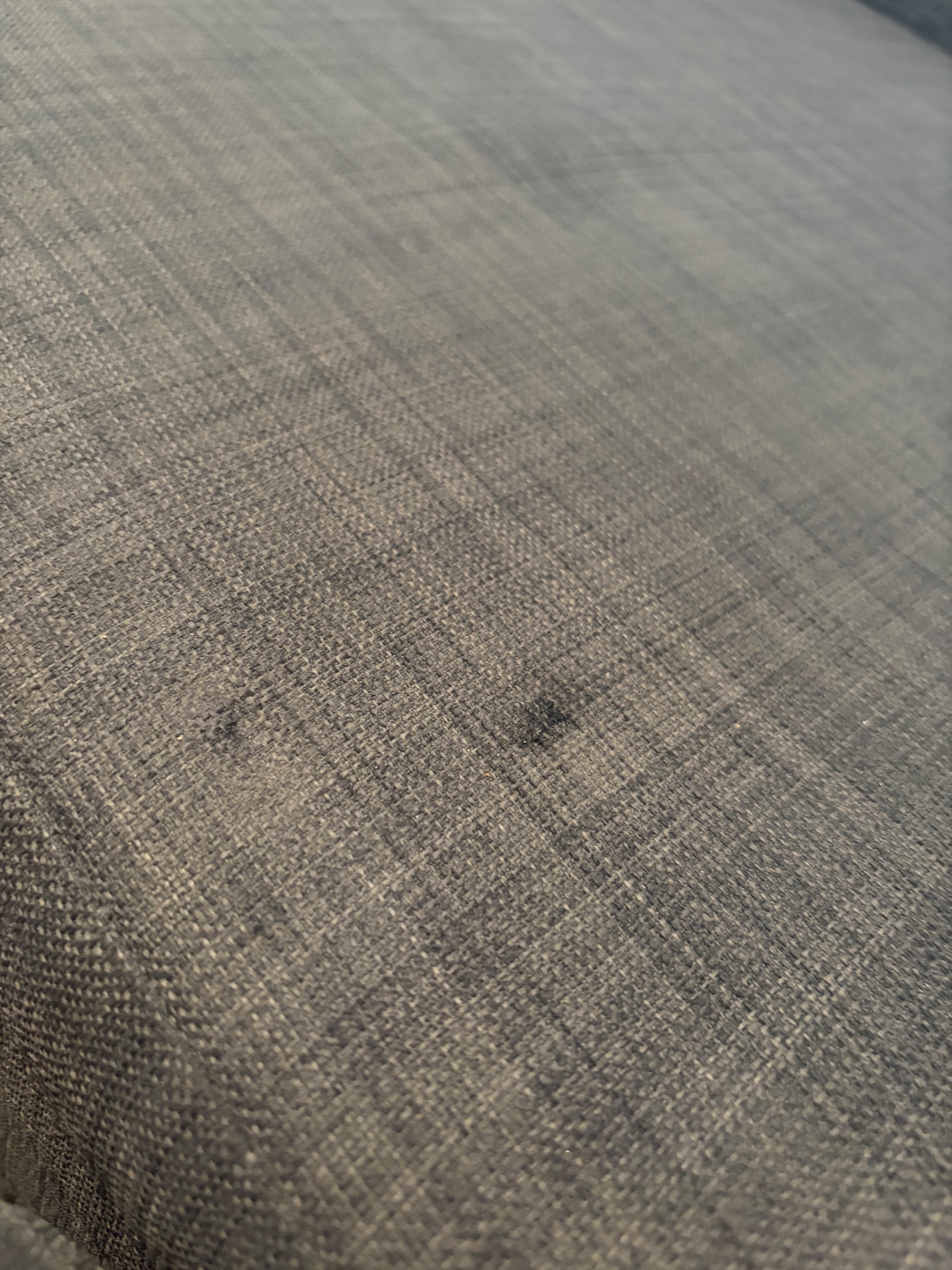 Seller photo