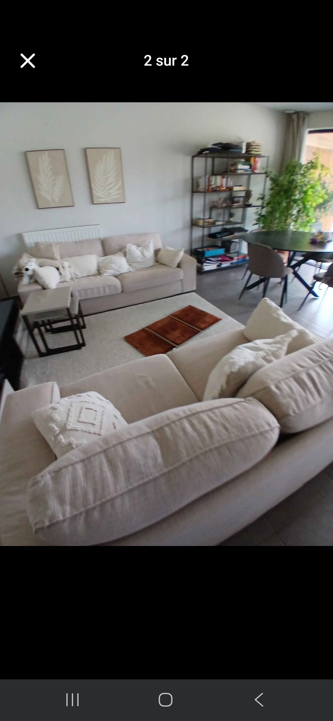Seller photo