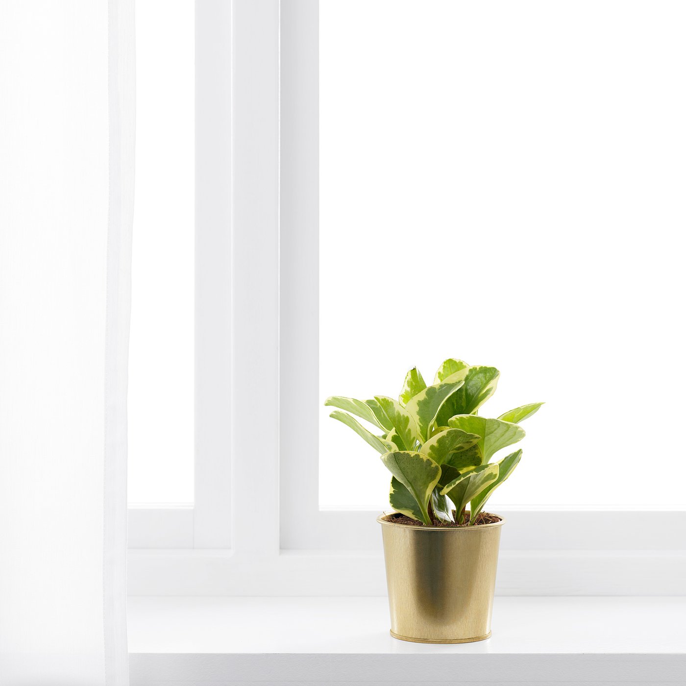 Image du catalogue IKEA