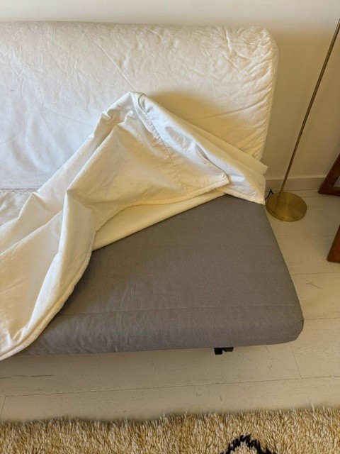 Photo du vendeur