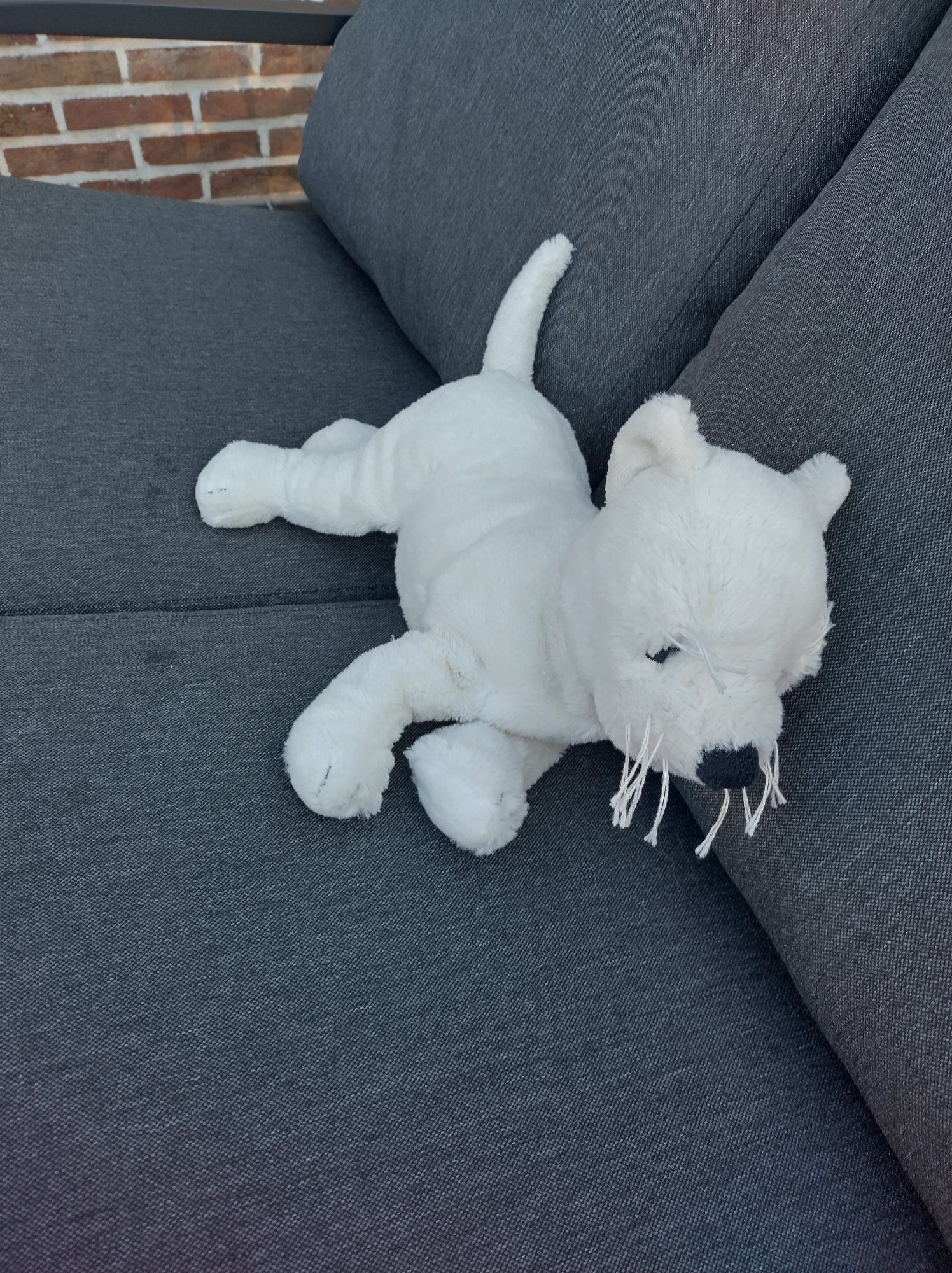 Seller photo