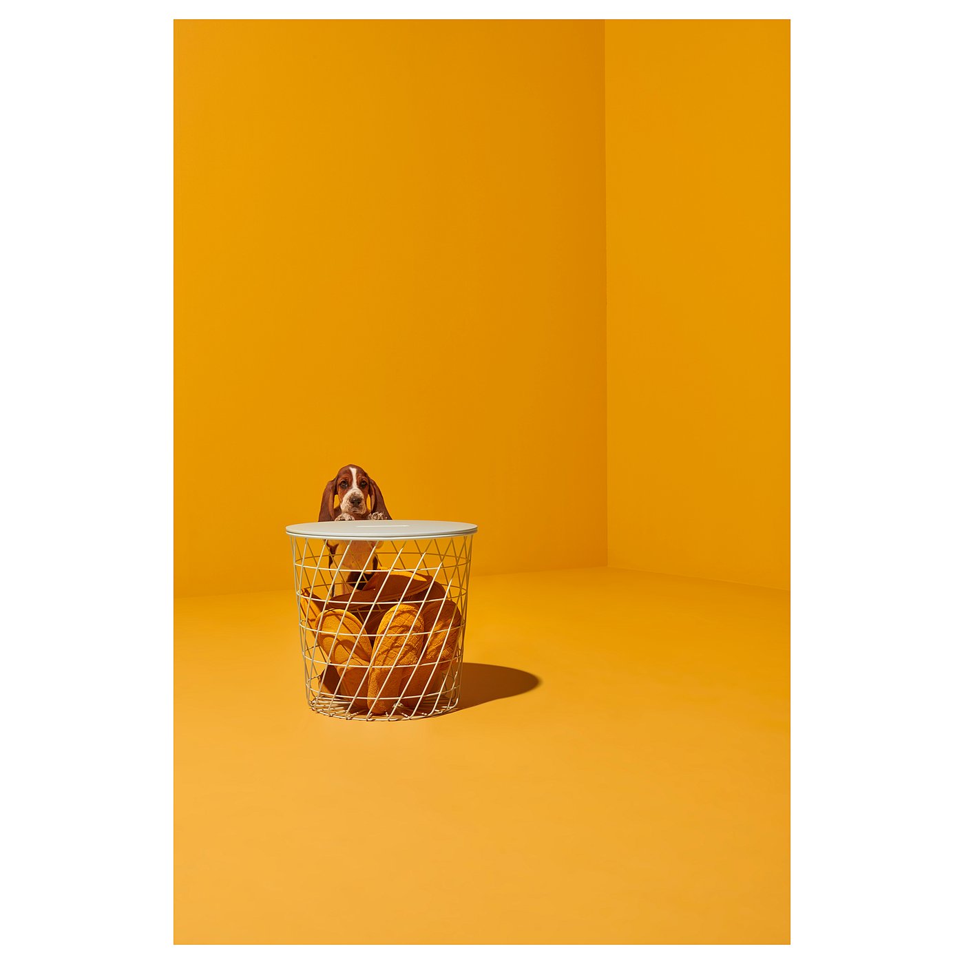 Image du catalogue IKEA