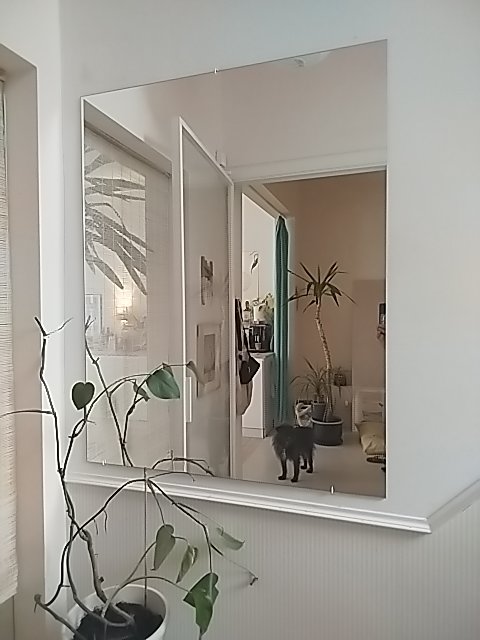 Foto verkoper