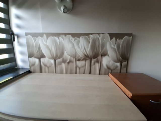 Photo du vendeur